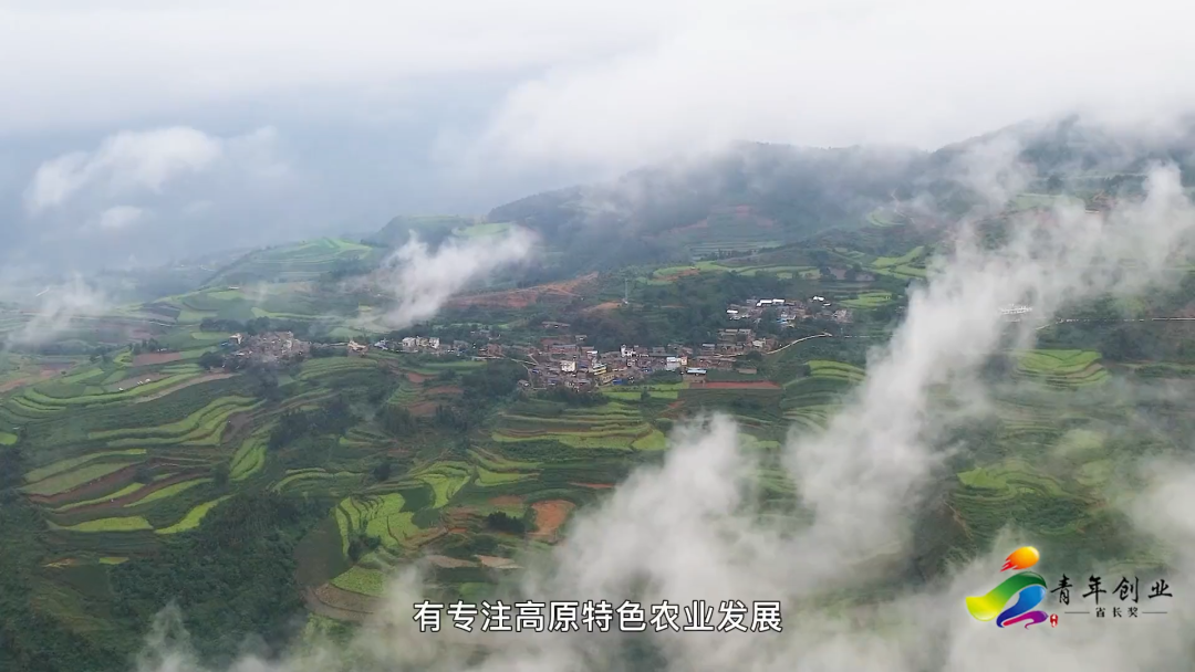 榜樣！云南青年創業省長獎名單公布